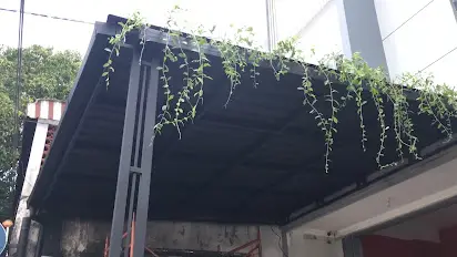 canopy + tanaman menjalar aesthetic