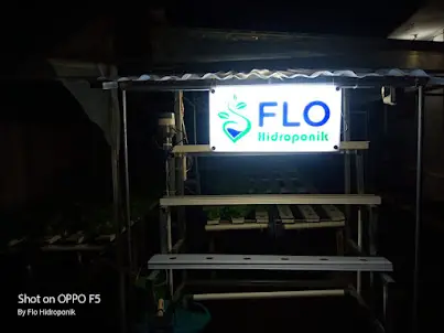Tampilan Saat Malam Neon Box FLO Hidroponik Tampilan Saat Malam Neon Box FLO Hidroponik